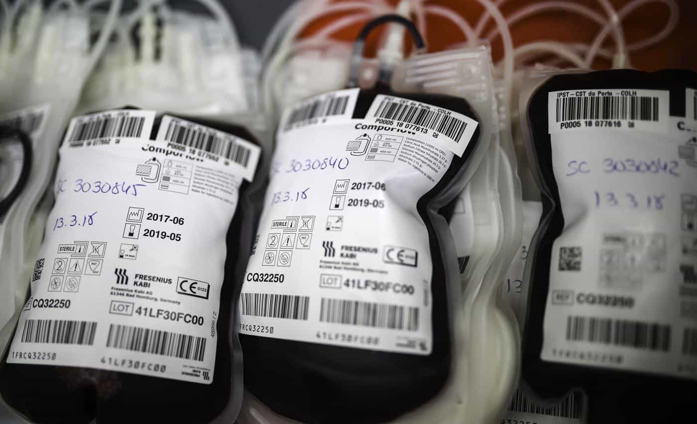 UMinho regista 393 dadores de sangue