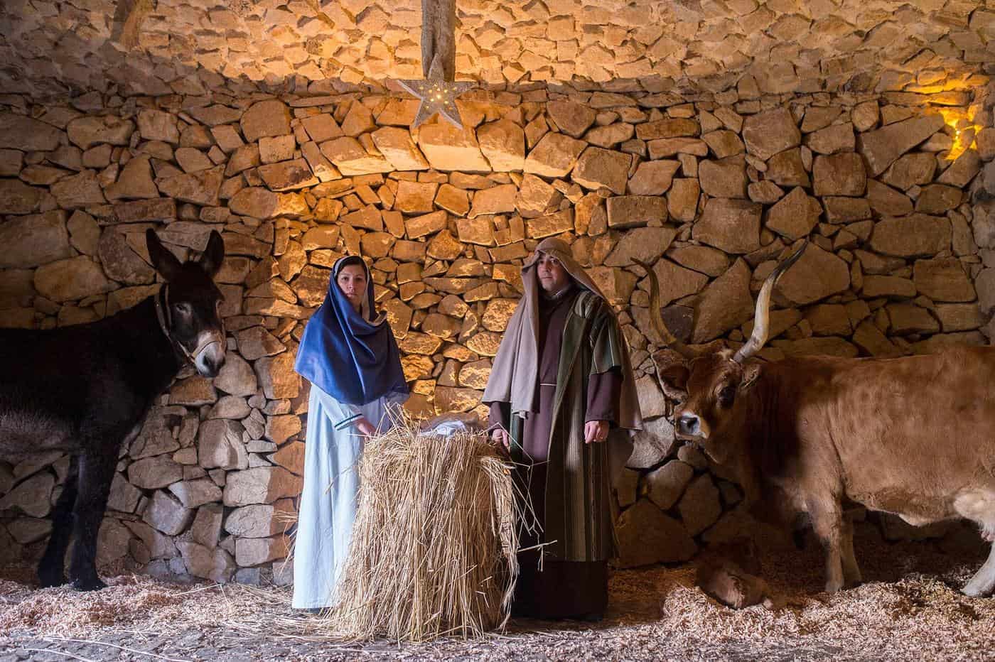 Presépio ao Vivo de Priscos com maior edição de sempre
