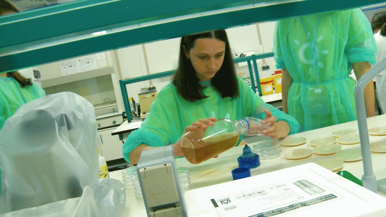 Balanço positivo para Verão no Campus 2019