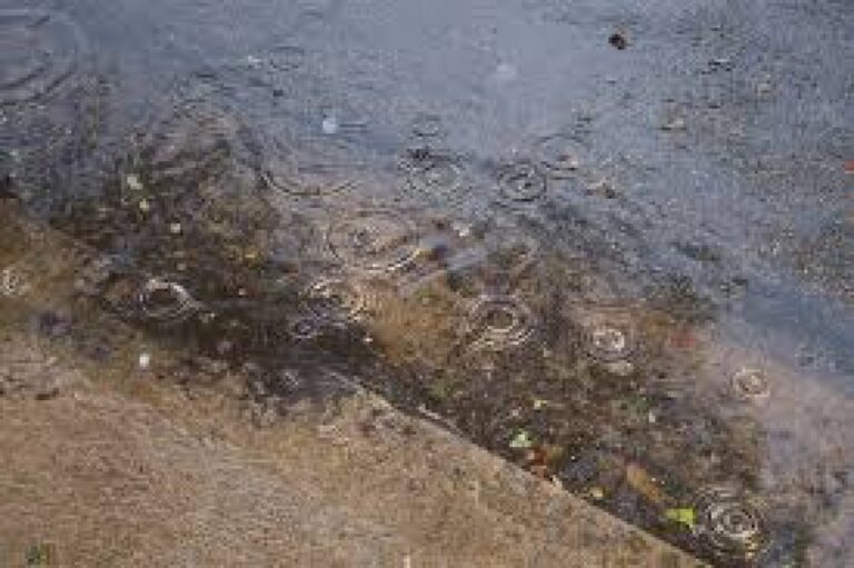 Chuva no norte do país até sábado