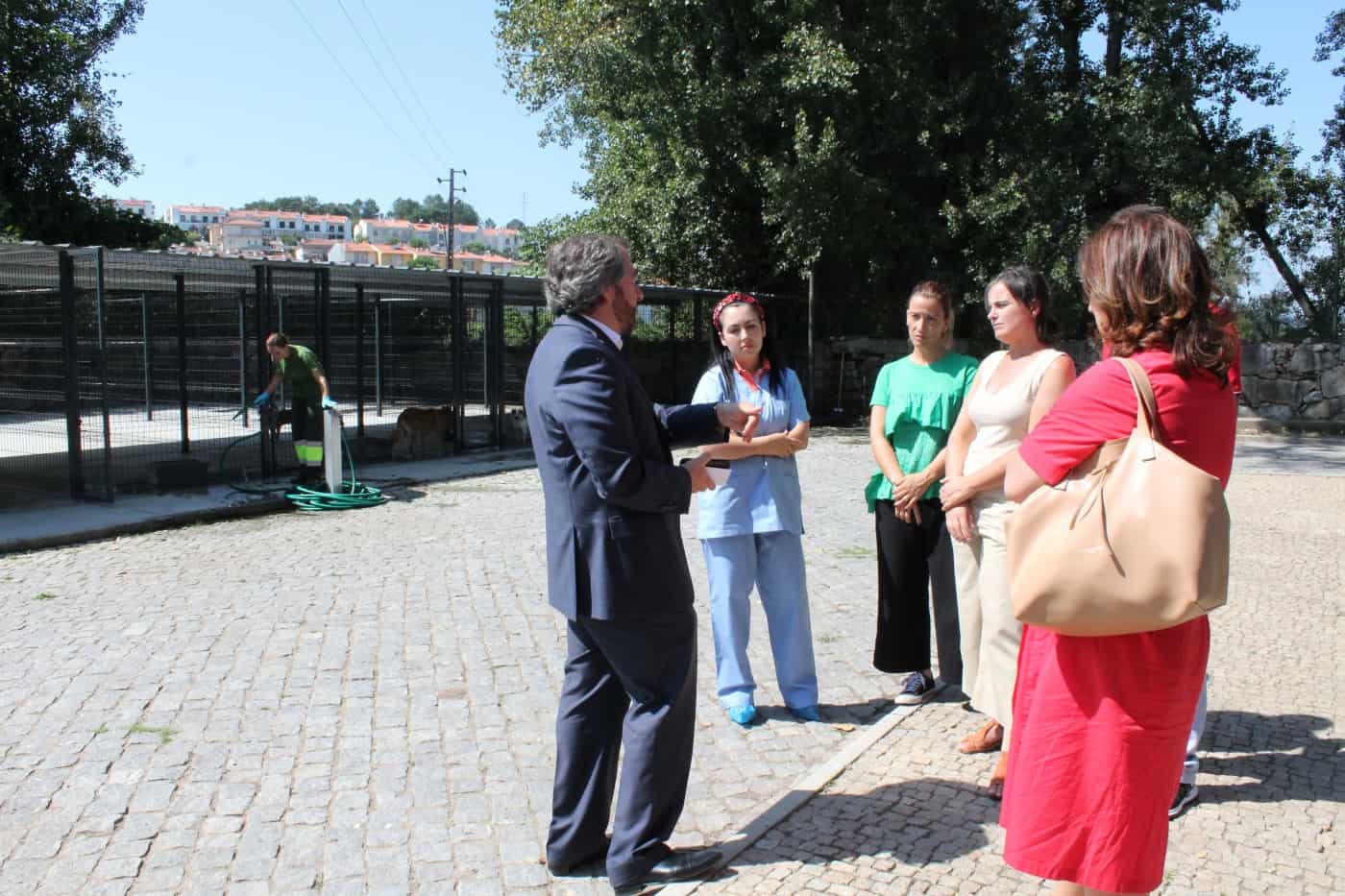 PCP defende criação de mais Centros de Recolha Animal no distrito de Braga