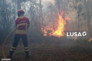 Mais de cem bombeiros e 4 meios aéreos combatem fogo em Mondim