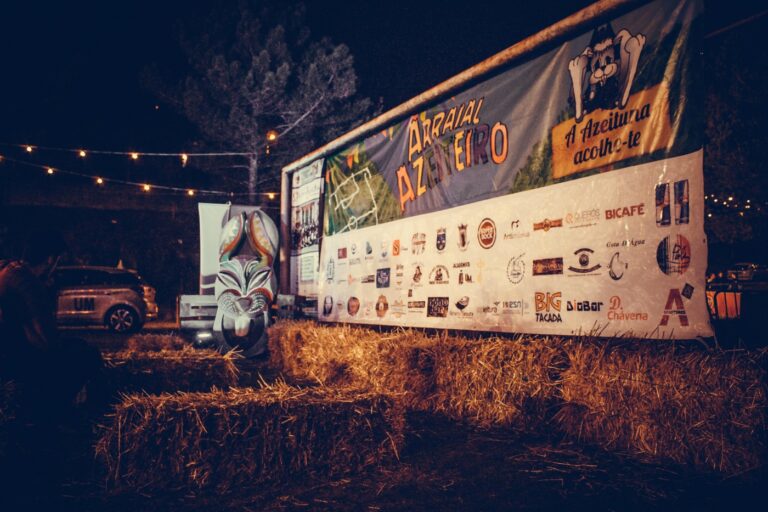 Azeituna recebe novos alunos da UMinho com Arraial Azeiteiro