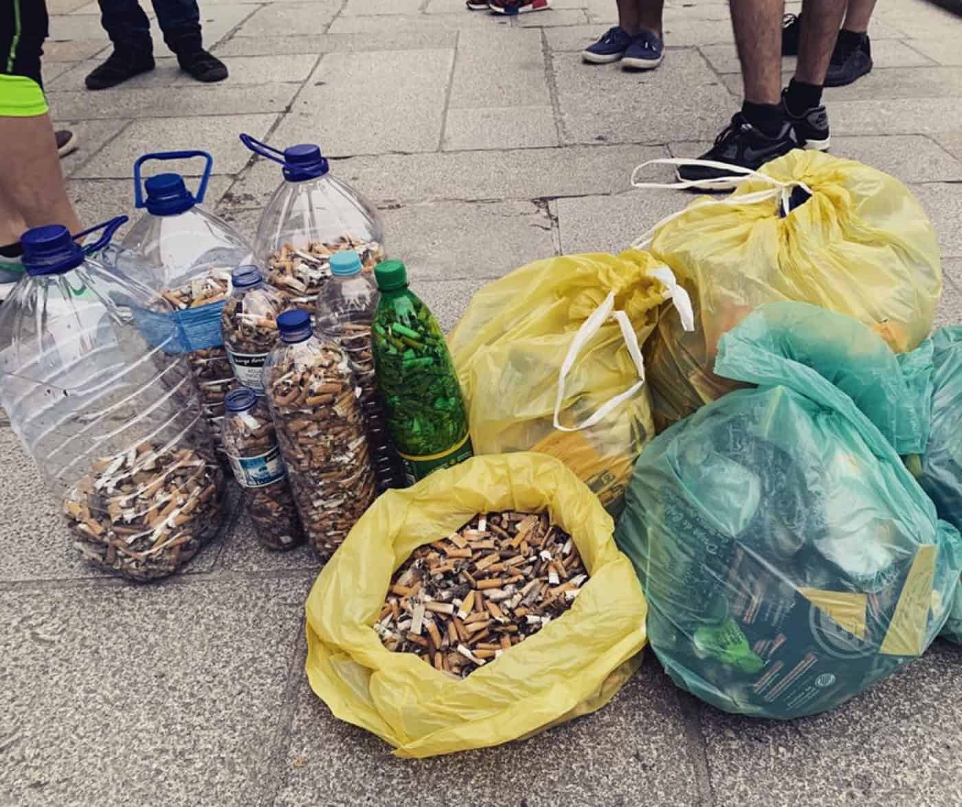 Utilizar beatas em mobiliário para animais? Braga para Todos diz que sim