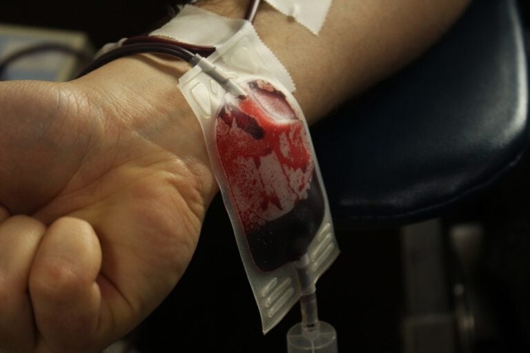 “Dias sociais” na UMinho começam com dádivas de sangue