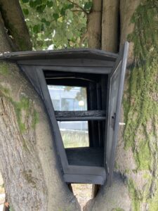 S.Victor quer incutir gosto pelos livros com "Árvore de Leitura" 