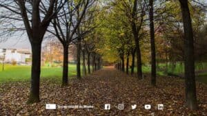 UMinho apresenta plano de desenvolvimento integrado de Azurém