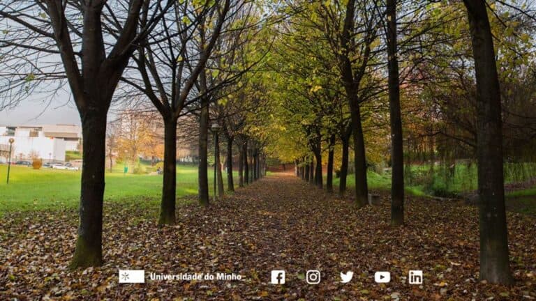 UMinho apresenta plano de desenvolvimento integrado de Azurém
