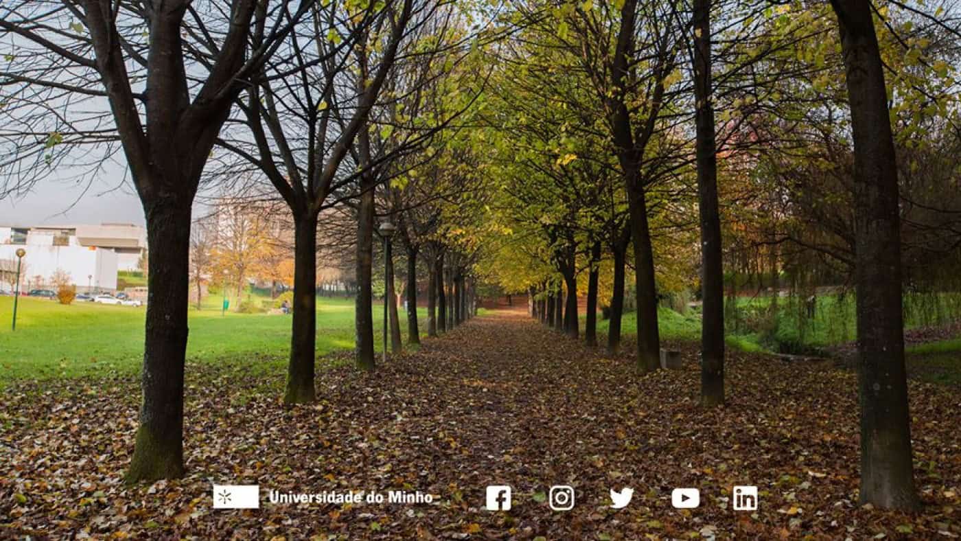 UMinho apresenta plano de desenvolvimento integrado de Azurém