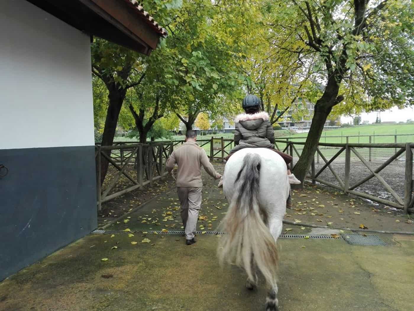 CMB investe 400 mil euros em picadeiro e intervenções na Quinta Pedagógica