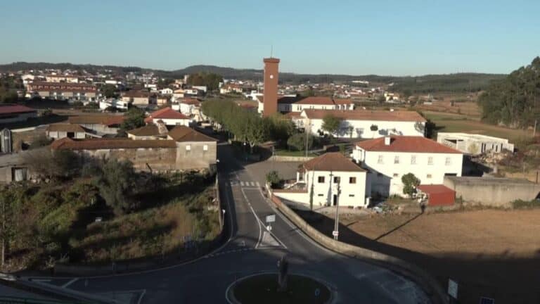 Habitantes de Fradelos queixam-se de odores vindos de exploração pecuária