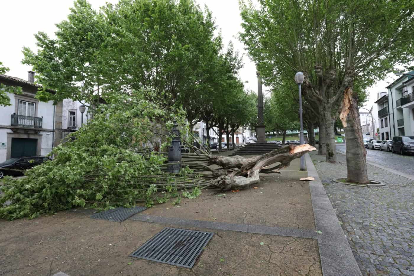 Vento forte no Norte do país até ao final da semana