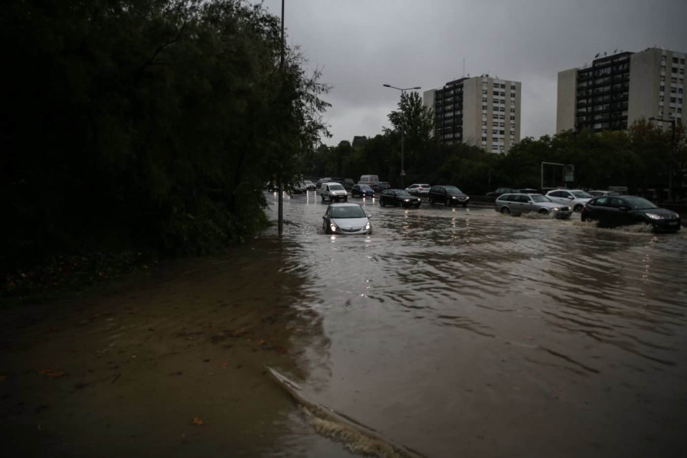 Protecção Civil alerta para cheias e queda de árvores