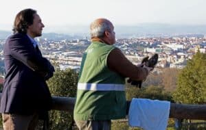 "Picoto" libertado no Dia Mundial da Conservação da Vida Selvagem