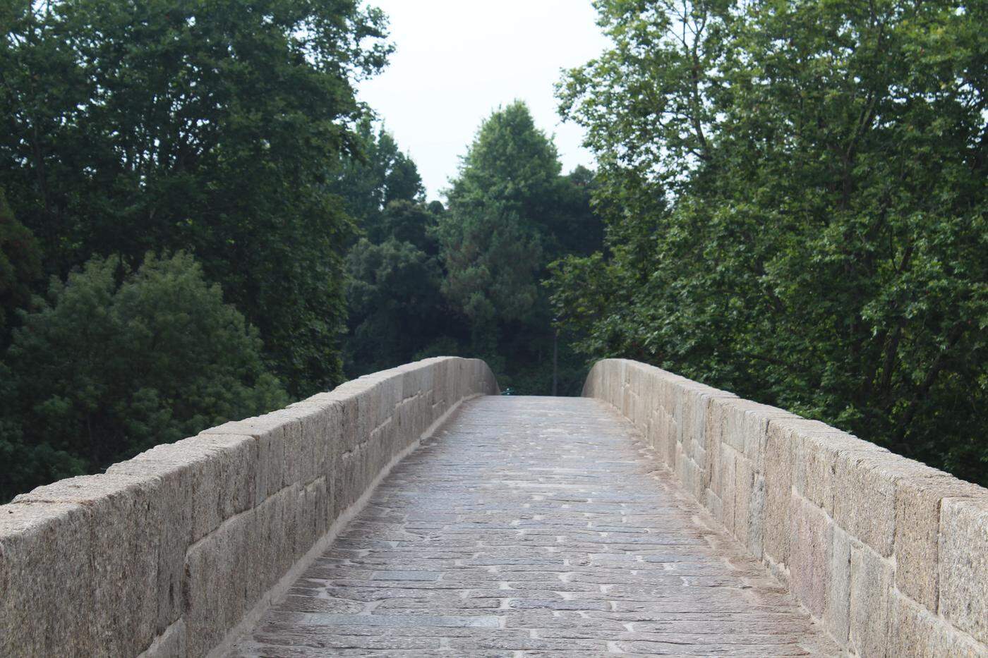 Lagoncinha. A lenda de uma travessia românica sobre o Ave