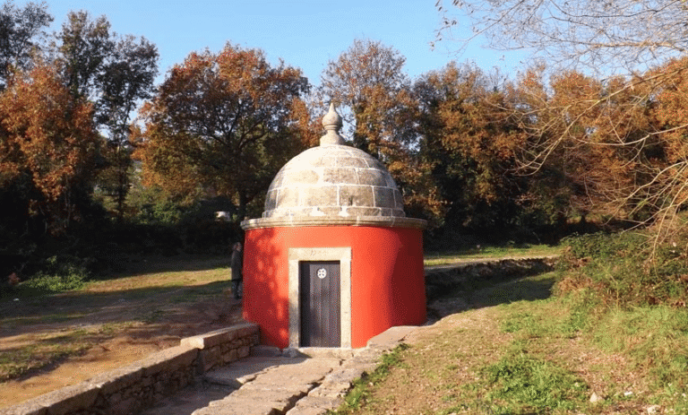 ASPA: revista Mínia regressa após cinco anos