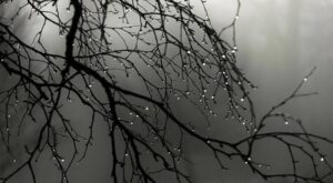 Massa de ar polar arrefece país nos próximos dias