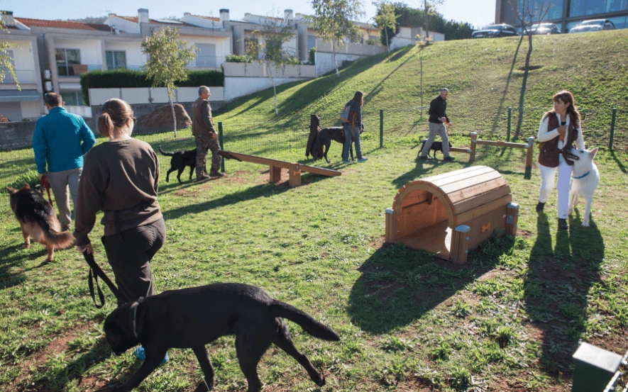 Famalicão abre primeiro parque canino do concelho