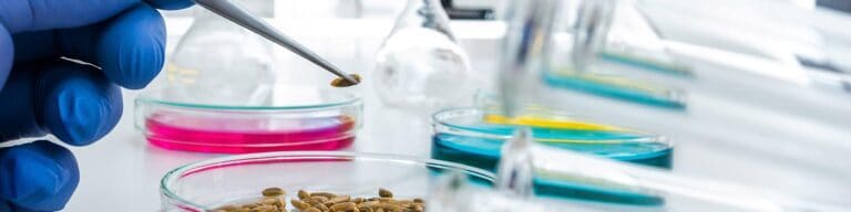 Portugal e bioeconomia. Uma ligação feita pelo EcoAgriFood