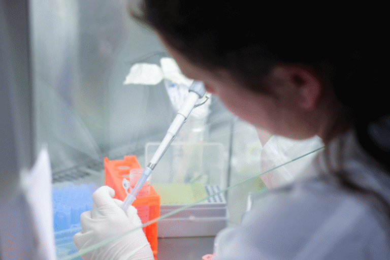 UMinho estuda forma de limpar solos contaminados