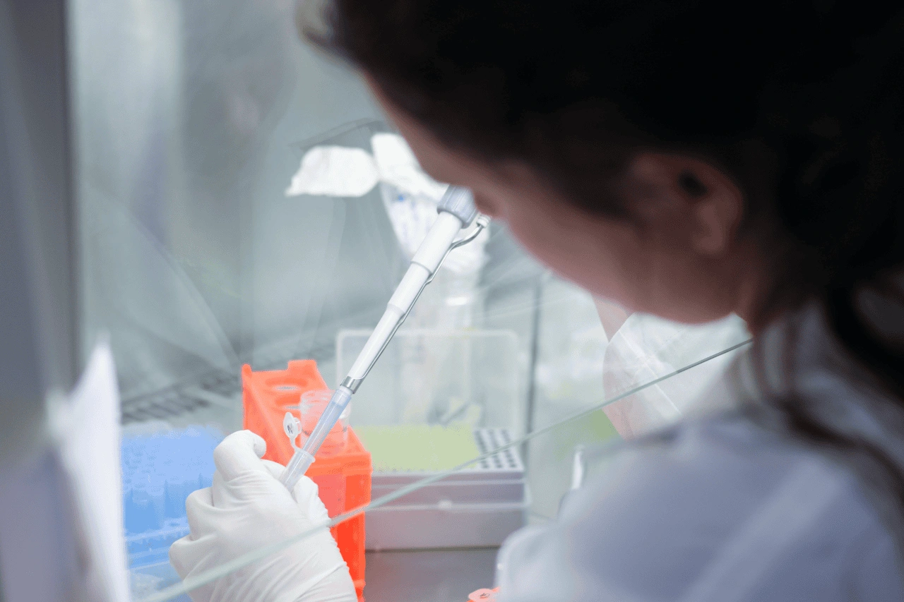 UMinho estuda forma de limpar solos contaminados