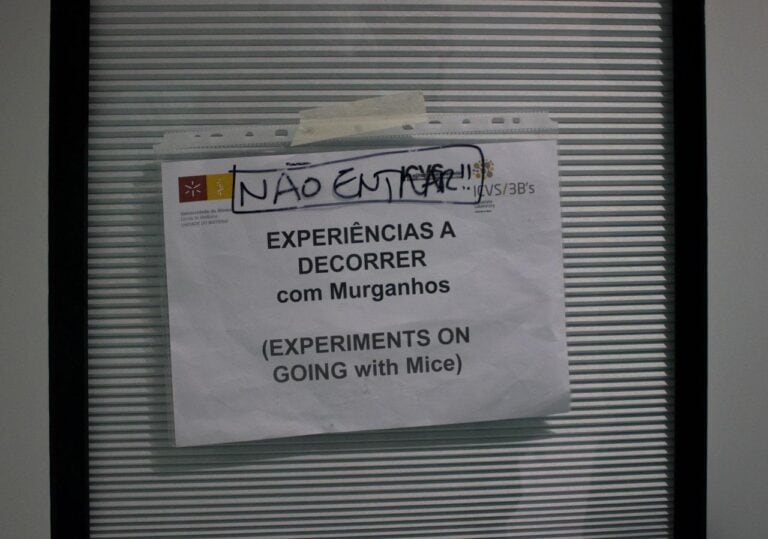 Investigação animal. UMinho assina Acordo de Transparência