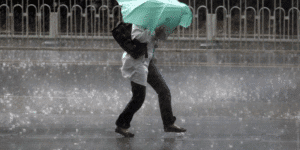 Braga acorda em alerta laranja devido a vento forte