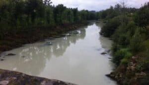 Domingos Bragança defende que CMG fiscalize rio Ave