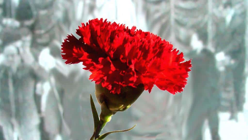 Abril. Braga é único concelho do quadrilátero sem cerimónia