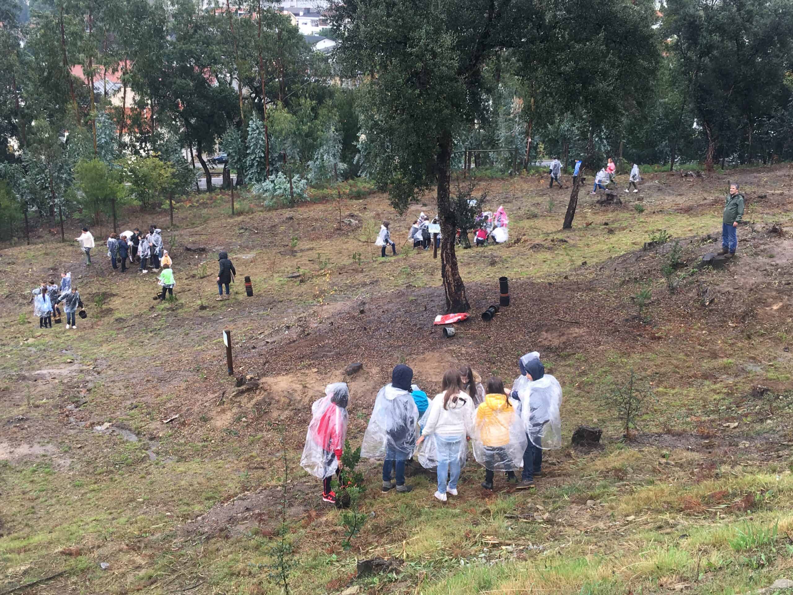 "Reflorestar Braga" planta 2500 árvores até amanhã