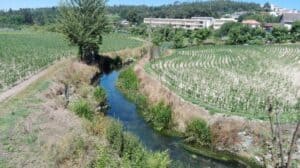 BE questiona Governo sobre poluição no rio Selho