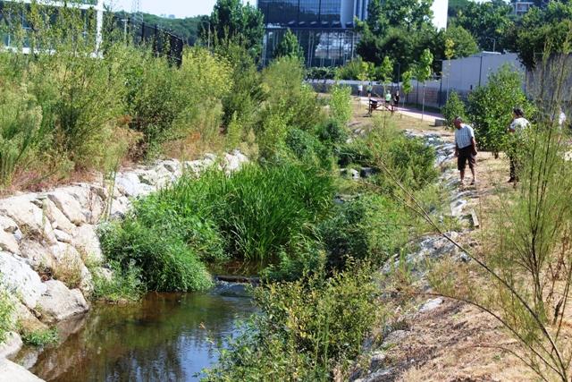 Este aguarda por chuvas intensas para receber novas espécies