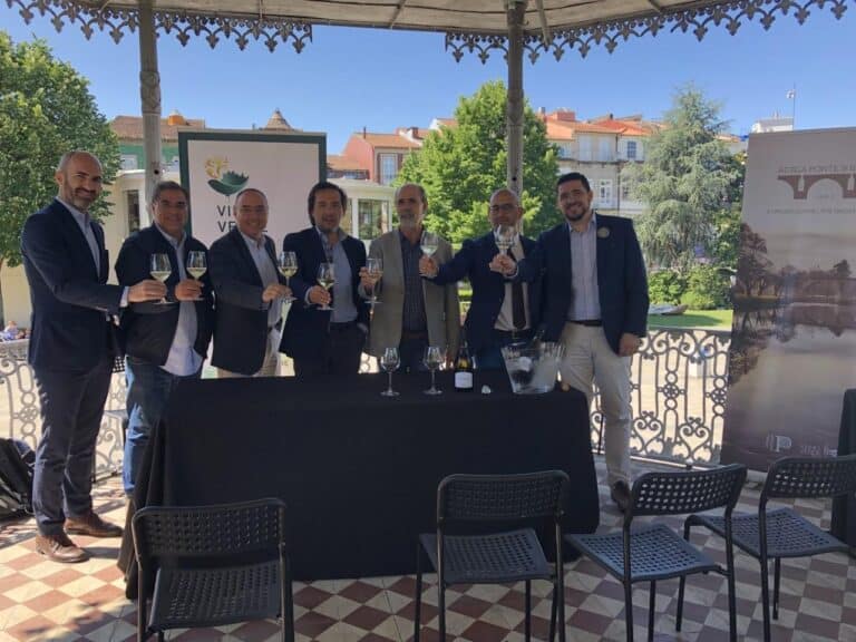 "Vinho Verde Fest vai ser a maior festa da região"