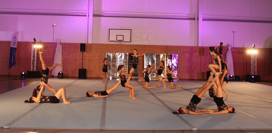 Festa da Ginástica Desportiva será "momento alto" da CED