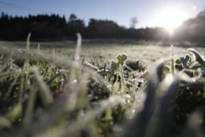 Sol na primeira semana de 2019
