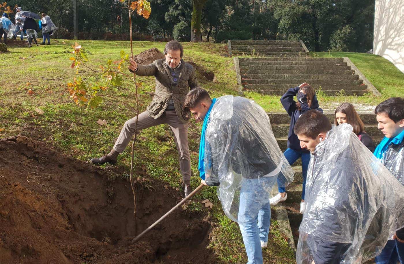 Braga assinala Dia Mundial da Floresta Autóctone