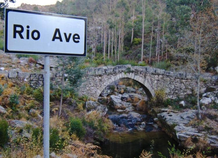 No rio Ave (ainda) nada o lixo. "As descargas continuam"