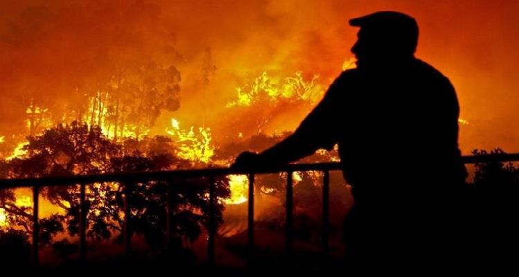 "96% dos incêndios resultam de queimadas descontroladas"
