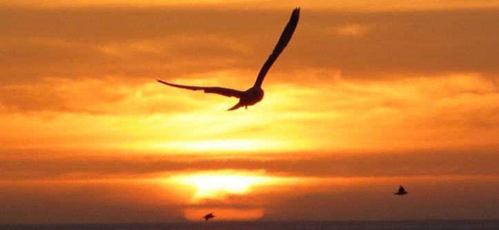 Semana arranca com chuva, mas sol está à espreita