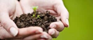 ZDAY 2018. Uma conferência sobre sustentabilidade