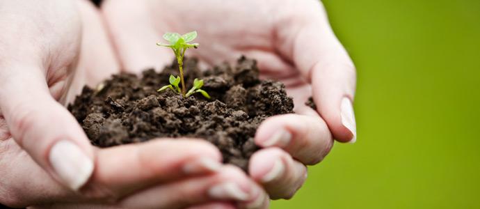 ZDAY 2018. Uma conferência sobre sustentabilidade