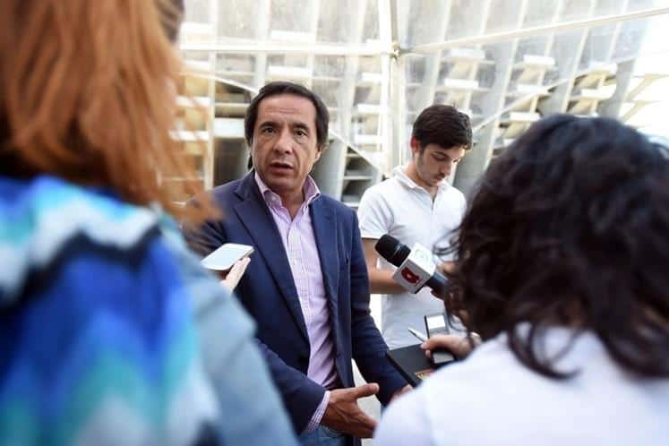 "Árvores saudáveis também cedem com mau tempo"