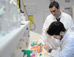 1 milhão de euros para investigar complicações pulmonares