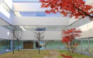 Miguel Gonçalves preside à Escola de Psicologia