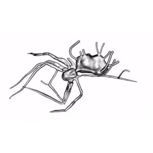 Laric apresenta 'Walking Sideways' no Forum Arte Braga