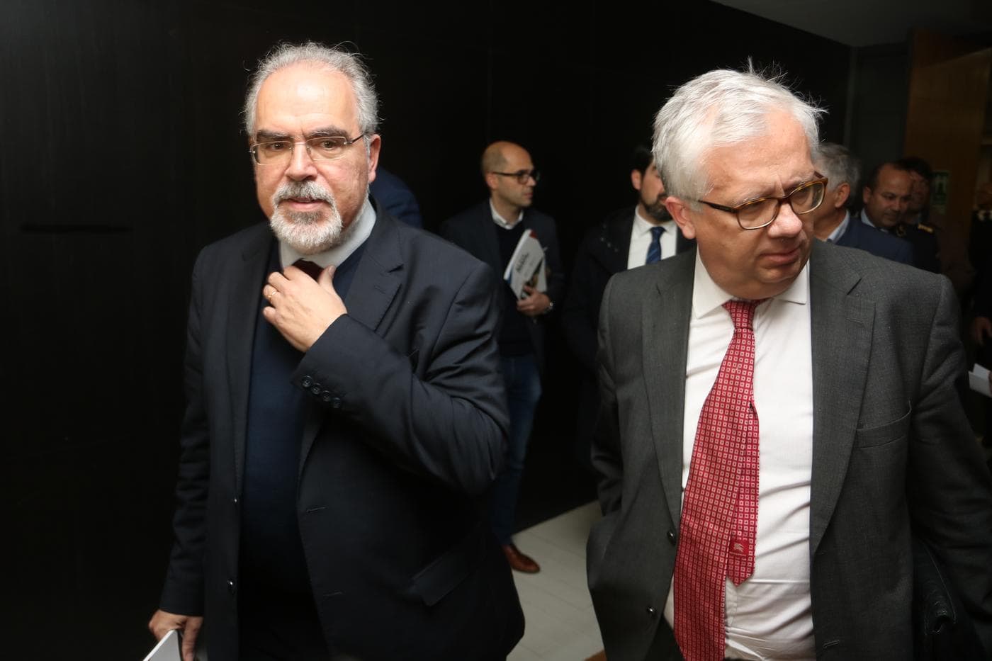 MAI conta com autarquias para vigiar limpeza de florestas