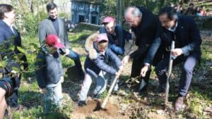"Não faltam relatórios neste país que deixam tudo na mesma"