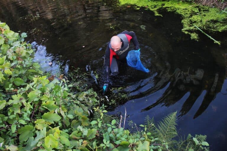 Verdes questionam governo sobre descarga no Rio Ave