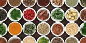 INL vai criar alimentos funcionais para idosos