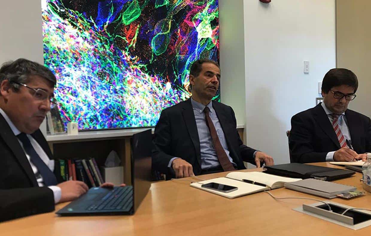 Futuro do MIT Portugal centra-se na Terra